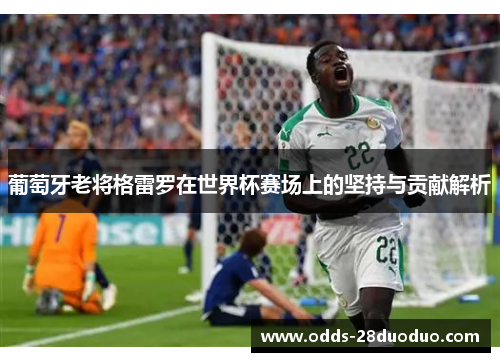 葡萄牙老将格雷罗在世界杯赛场上的坚持与贡献解析