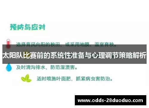 太阳队比赛前的系统性准备与心理调节策略解析