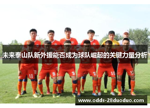 未来泰山队新外援能否成为球队崛起的关键力量分析