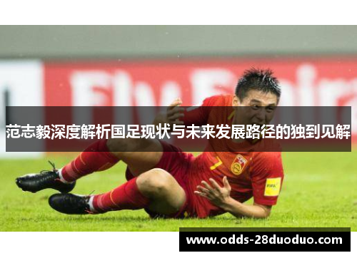 范志毅深度解析国足现状与未来发展路径的独到见解