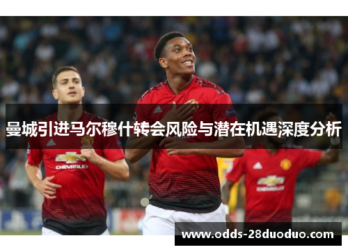 曼城引进马尔穆什转会风险与潜在机遇深度分析