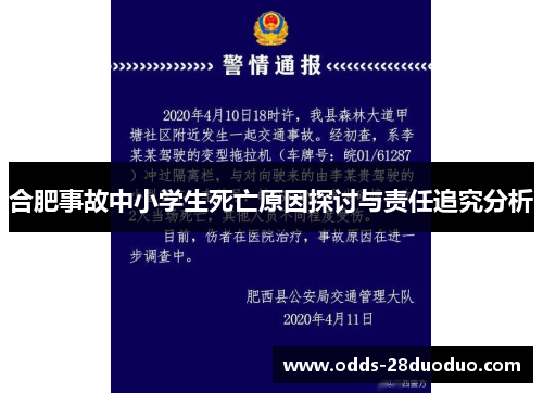 合肥事故中小学生死亡原因探讨与责任追究分析