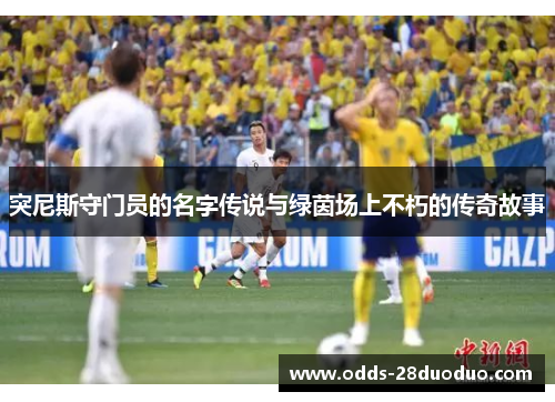 突尼斯守门员的名字传说与绿茵场上不朽的传奇故事